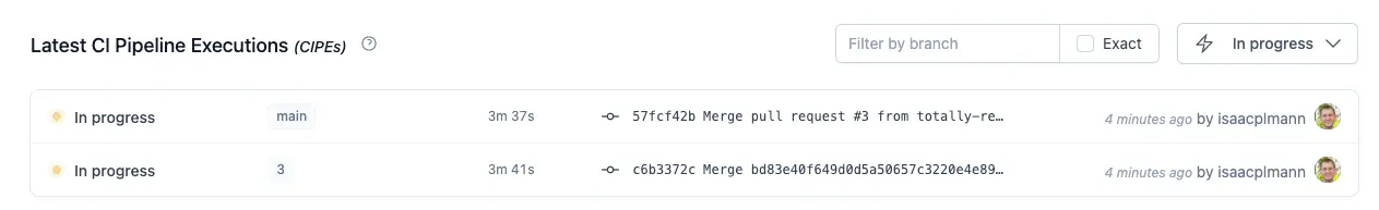 CI Pipeline Executiosn